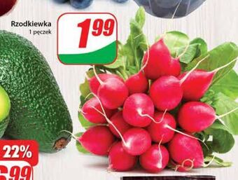 Dino Rzodkiewka oferta