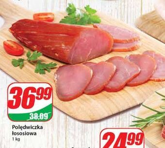 Dino Polędwiczka łososiowa agro rydzyna oferta