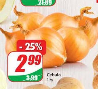Dino Cebula oferta