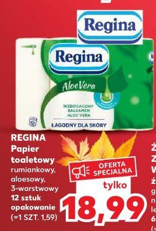 Kaufland Papier toaletowy aloe vera regina oferta
