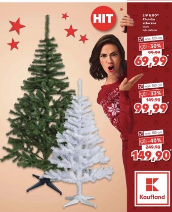 Kaufland Choinka jodła biała 120 cm liv & bo oferta