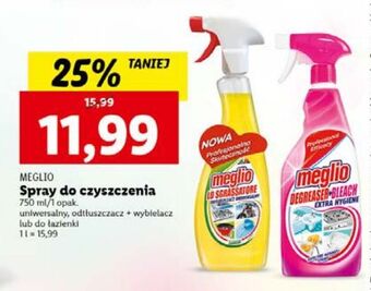 Lidl Spray uniwersalny meglio oferta