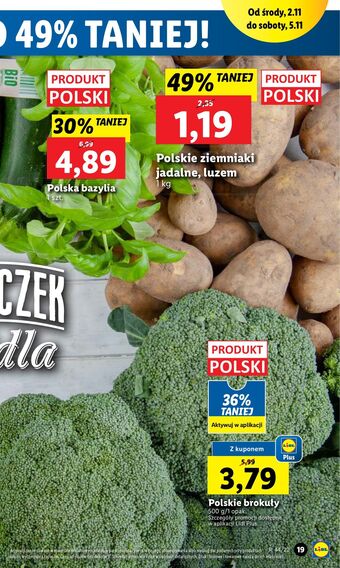 Lidl Bazylia oferta