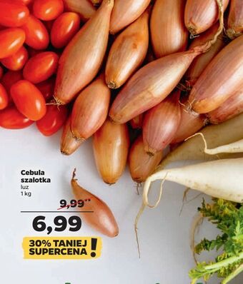 Netto Cebula szalotka oferta