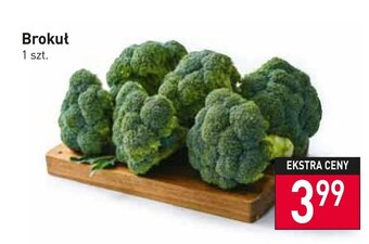 Stokrotka Market Brokuł oferta