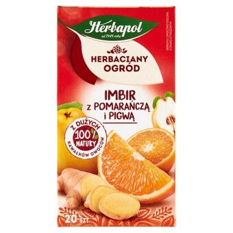 Dino Herbapol herbaciany ogród herbatka owocowo-ziołowa imbir z pomarańczą i pigwą 50 g (20 x 2,5 g) oferta