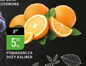 bi1 Pomarańcza oferta