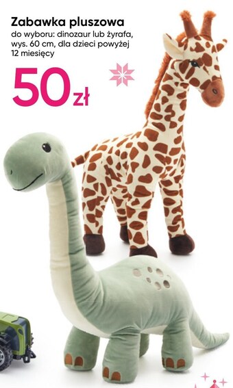 Pepco Pluszak oferta