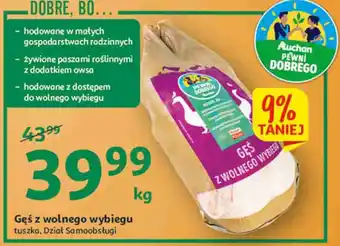 Auchan Gęś z wolnego wybiegu tusza auchan pewni dobrego oferta