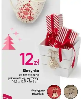 Pepco Skrzynia ze swiąteczną przywieszką 16.5 x cm oferta