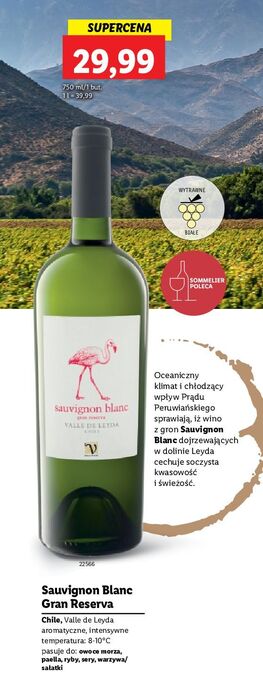 Lidl Wino białe wytrawne sauvignon blanc gran reserva oferta