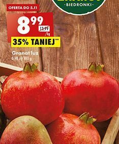 Biedronka Granat oferta