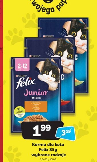 Delfin Karma dla kota Felix 85g oferta