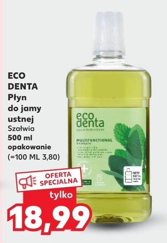 Kaufland Płyn do płukania jamy ustnej eco denta oferta