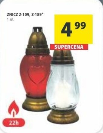 Arhelan Znicz oferta