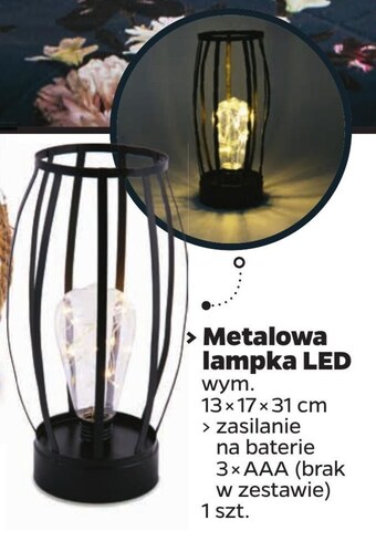 Netto Lampka oferta