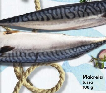 Kaufland Makrela oferta