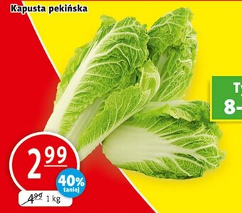 Prim Market Kapusta pekińska 1kg oferta