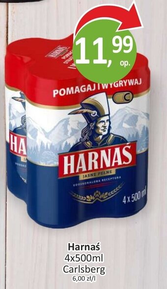 Passa Carlsberg Harnaś 4 x 500 ml oferta