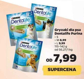 Netto Przysmak dla psa medium purina dentalife oferta