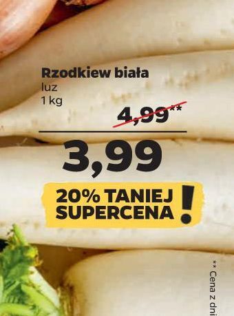 Netto Rzodkiewka biała oferta