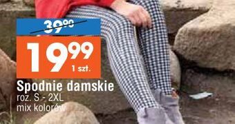 E.Leclerc Spodnie damskie s-2xl oferta