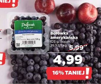 Netto Borówka amerykańska oferta