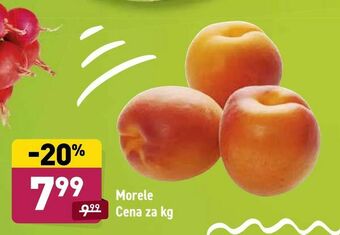 ALDI Morele oferta