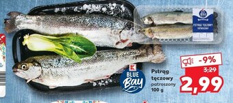Kaufland Pstrąg tęczowy blue bay oferta