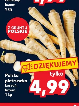 Kaufland Pietruszka kaufland oferta