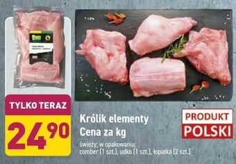 ALDI Królik elementy oferta