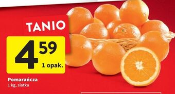 Intermarche Pomarańcze oferta