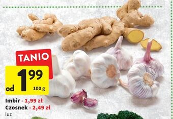 Intermarche Czosnek oferta