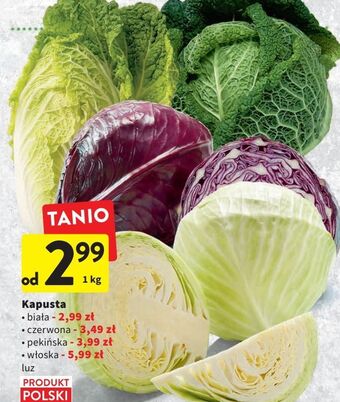 Intermarche Kapusta biała oferta