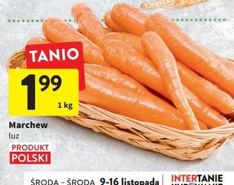 Intermarche Marchewka oferta