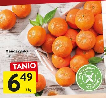 Intermarche Mandarynki oferta