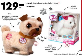 Biedronka Piesek interaktywny mops zuru pets alive oferta