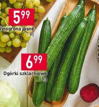 Stokrotka Ogórki szklarniowe 1 kg oferta