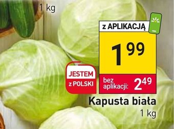 Stokrotka Market Kapusta biała 1 kg oferta