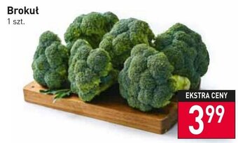 Stokrotka Market Brokuł 1 sztuka oferta