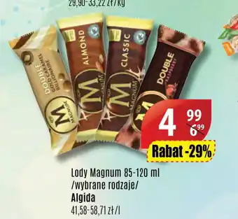 API MARKET Lody Magnum 85-120ml oferta