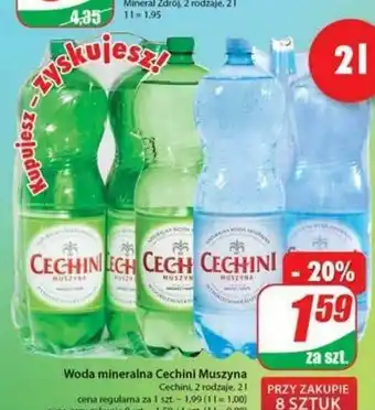 Dino Woda mineralna Cechini Muszyna 2l oferta
