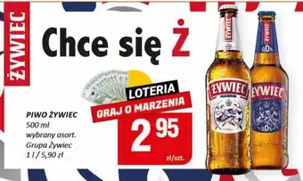 Chorten Grupa Żywiec Piwo Żywiec 500 ml puszka oferta