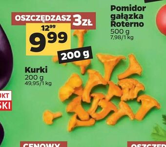 Netto Kurki oferta