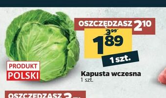Netto Kapusta wczesna oferta