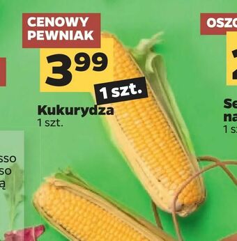 Netto Kukurydza oferta