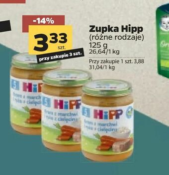 Netto Zupka Hipp oferta