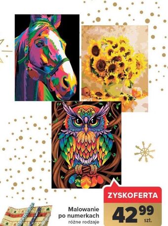Carrefour Malowanie po numerkach oferta