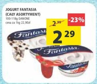 Arhelan Danone Jogurt Fantasia 100-118 g oferta