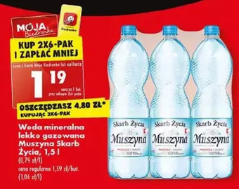 Biedronka Woda lekko gazowana muszyna skarb życia oferta
